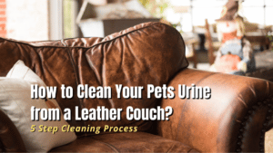 clean pet urine from leather