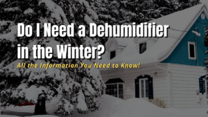 do i need dehumidifier in winter