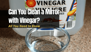Clean a Mirror with Vinegar