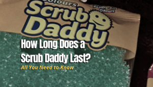 scrub daddy last
