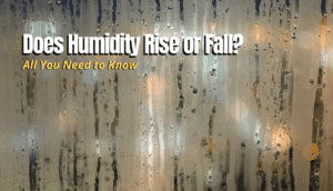 Does Humidity Rise or Fall