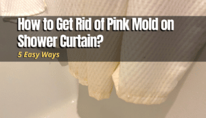 pink mold on shower curtain