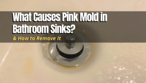 pink mold in sink