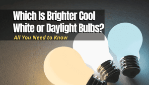 Which Is Brighter Cool White or Daylight Bulbs