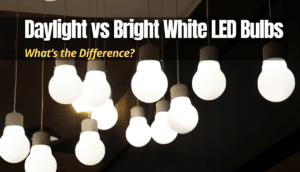 Daylight vs Bright White LED Bulbs | What’s the Difference?