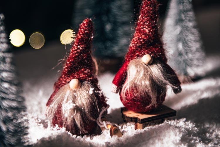 the popularity of Christmas gnomes has risen