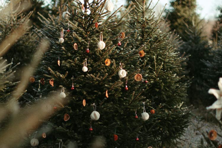 Decorate your tree with wooden ornaments