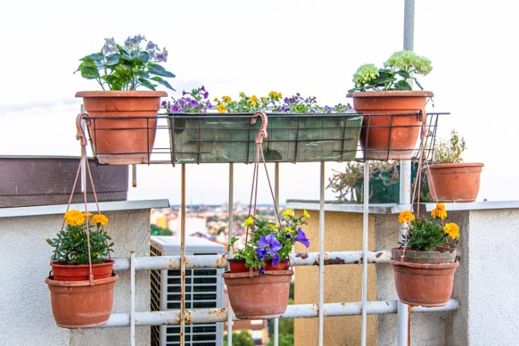 Vertical planters are a game changer because if you utilize walls or railings